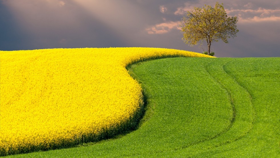 Otvaranje izložbe "Volim svoju županiju" u Koprivnici