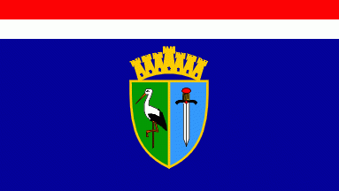 Sisačko-moslavačka županija: Proračun u malom
