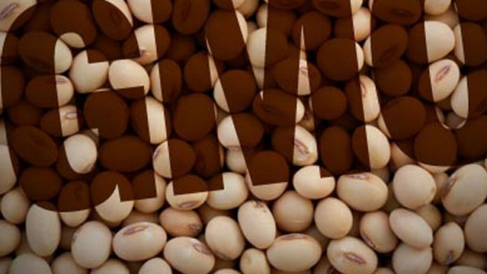 U Saboru rasprava o preispitivanju postupaka odlučivanja o GMO-u