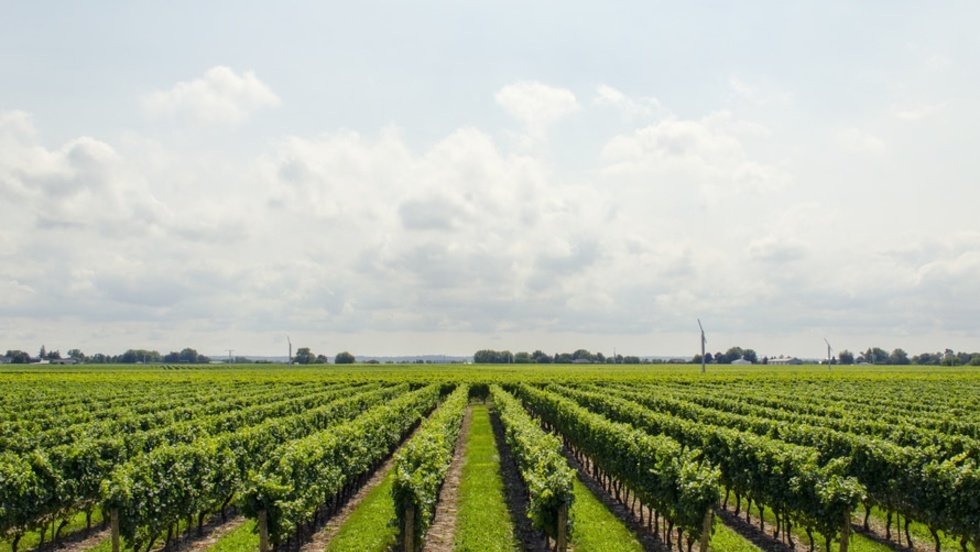 Za razvoj ruralnog turizma više od milijardu i pol kuna