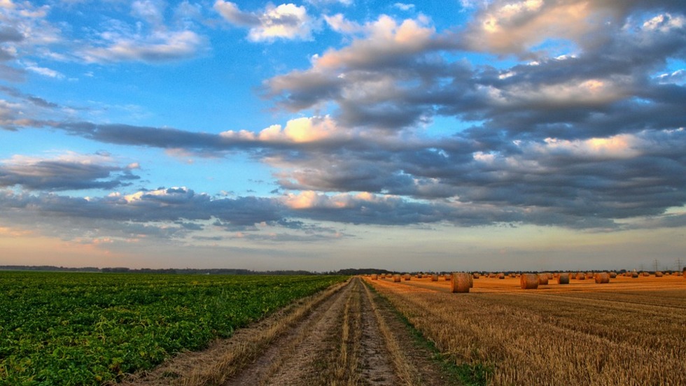 Uskoro novi natječaji za mjere Programa ruralnog razvoja