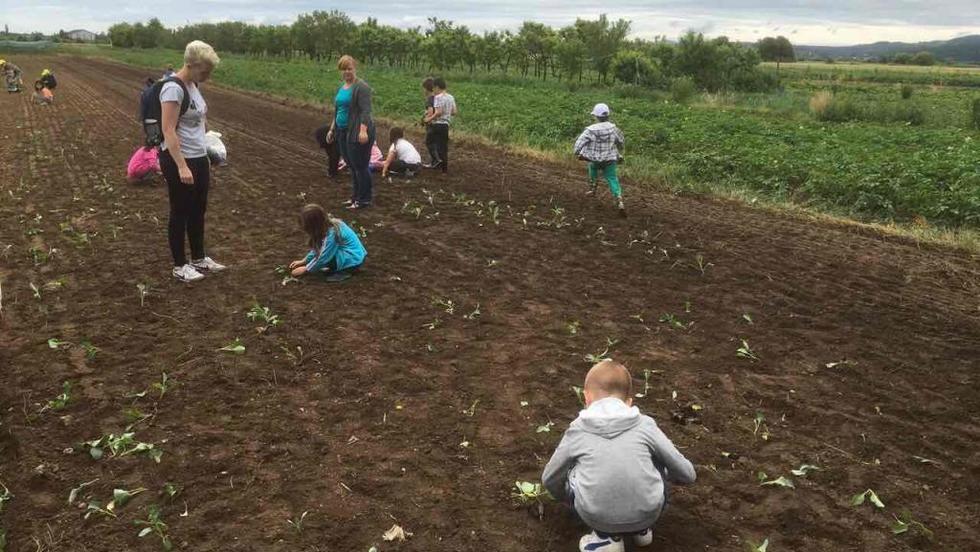 Nastavljen projekt: Autohtone pasmine životinja i tradicionalni proizvodi Varaždinske županije