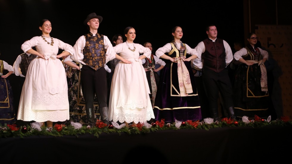 Hrvatskoj zajednici županija dodijeljeno priznanje za doprinos razvoju hrvatske zajednice