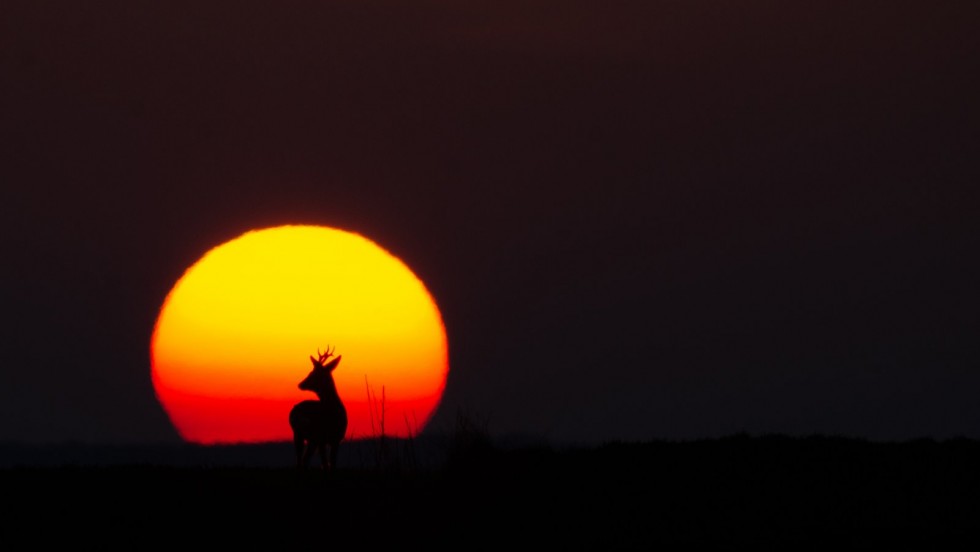 Najbolje fotografije natječaja VOLIM SVOJU ŽUPANIJU 2023.