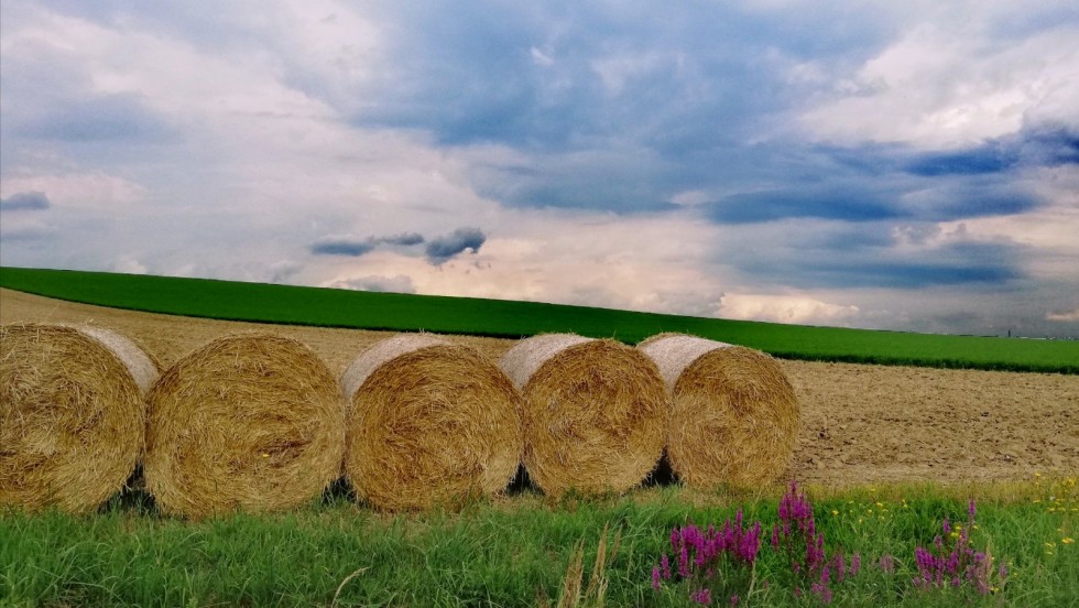Najviše glasova za fotografiju iz Požeško-slavonske županije!