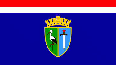 Sisačko-moslavačka županija: Proračun u malom