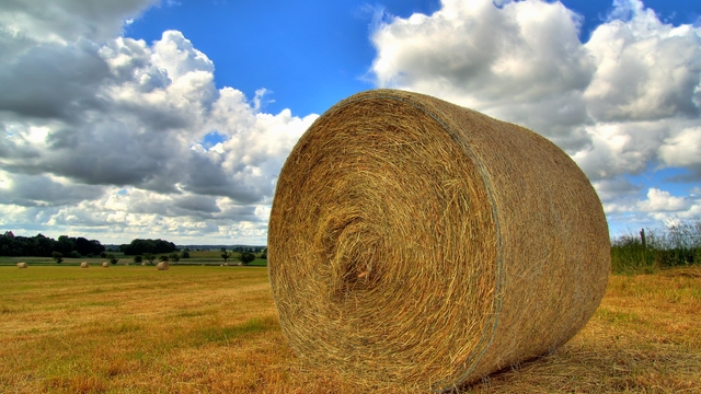 Tematska sjednica o implementaciji Programa ruralnog razvoja Republike Hrvatske