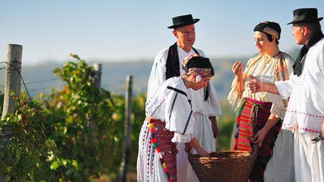 Osječko-baranjska županija objavila poziv za dodjelu potpora turističkom sektoru i za uređenje ruralnog prostora