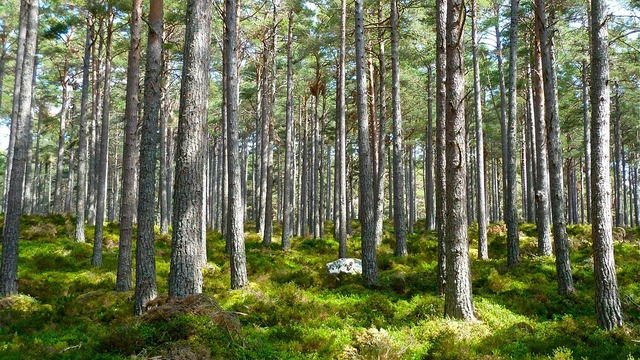 Krapinsko-zagorska županija osigurala 71.000 kuna za sanaciju divljih odlagališta