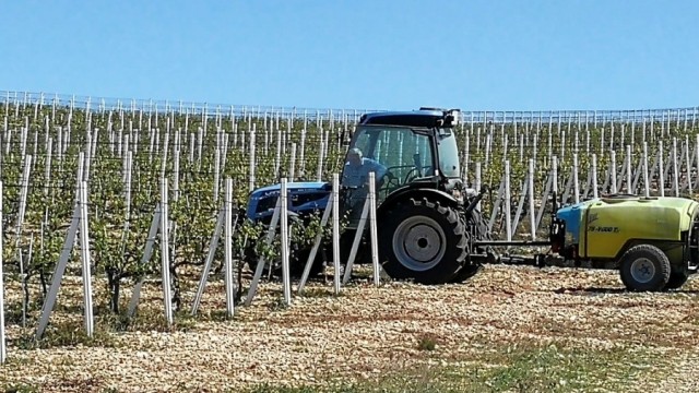 Zadarska županija: Milijun kuna za potporu poljoprivredi i ruralnom razvoju