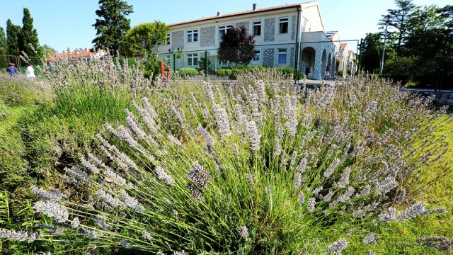 15 milijuna kuna za Psihijatrijsku bolnicu Rab