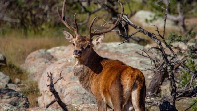 Zagrebačka županija raspisala javni poziv za razvoj lovstva i ribarstva