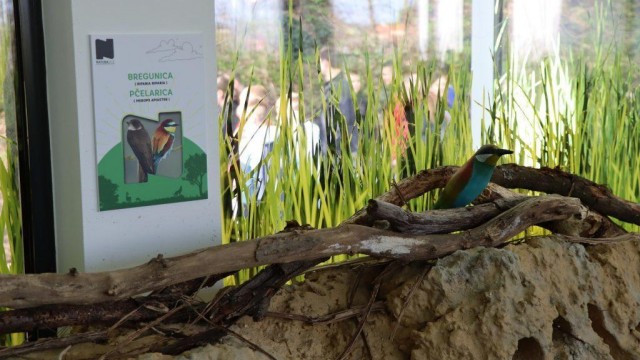 Najbolji EU projekt 2023: Osnivanjem edukativno-prezentacijskog centra Natura SMŽ do održivog regionalnog razvoja