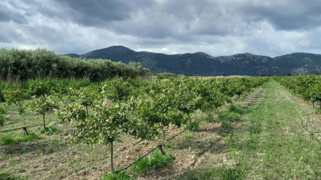 Najbolji EU projekt 2023: Inovativnim sustavom uvedene eksperimentalne eko-prihvatljive poljoprivredne prakse i novo dobrovoljno tržište ugljika